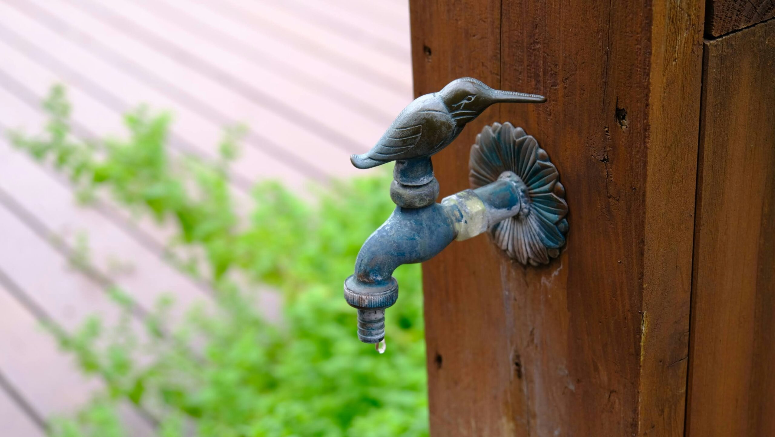 Outdoor Spigot Sprays From the Handle
