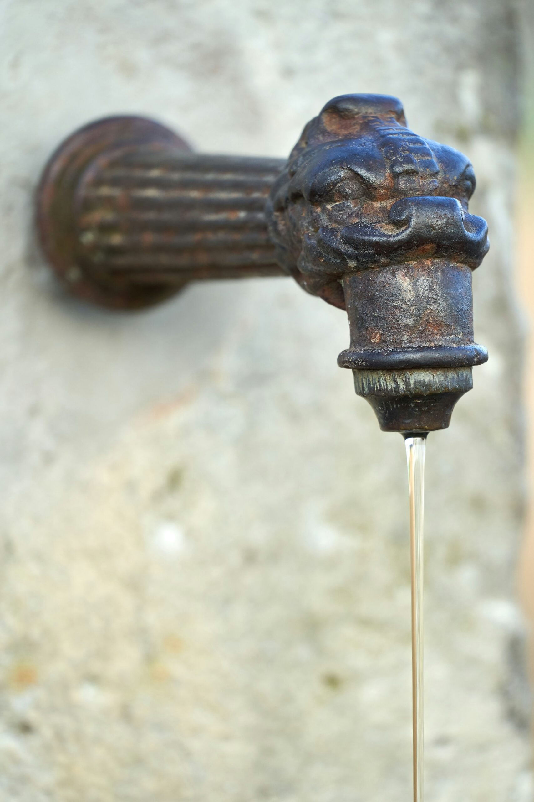 Plumbing fixture producing a high-pitched whistling or squealing sound