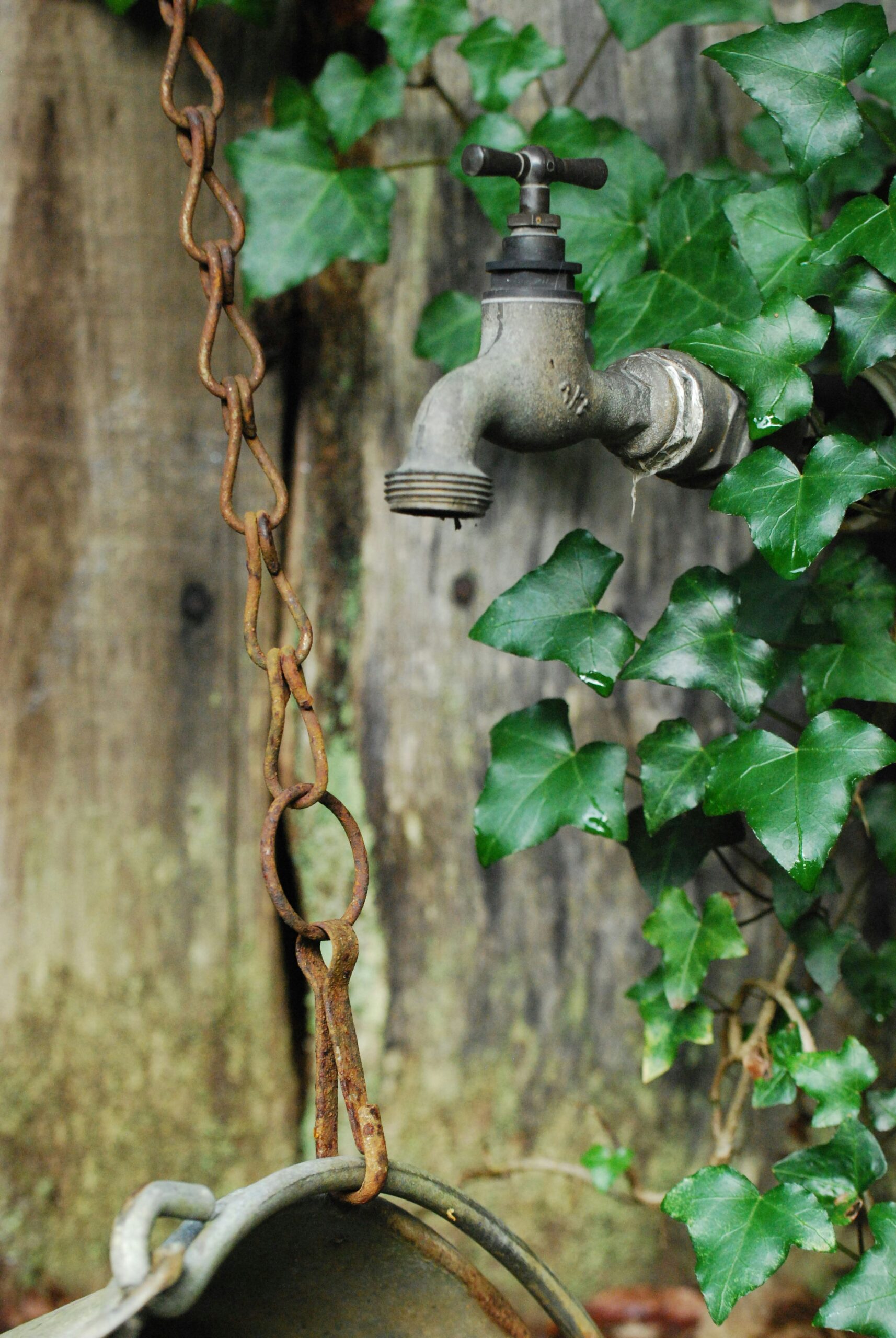 Plumbing fixture producing a high-pitched whistling or squealing sound