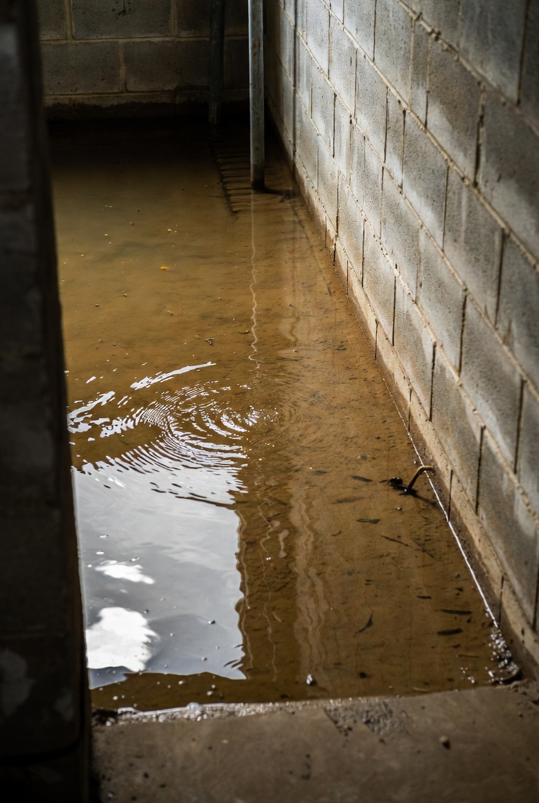 Basement floor drain with water backing up during rain